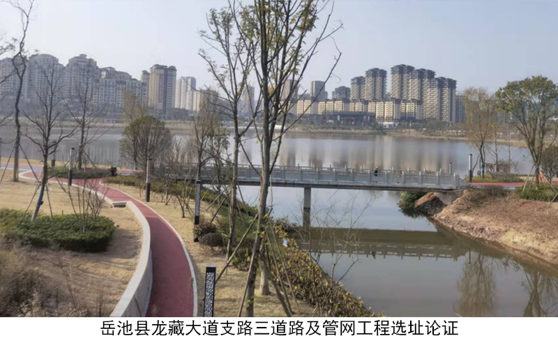 岳池县龙藏大道支路三