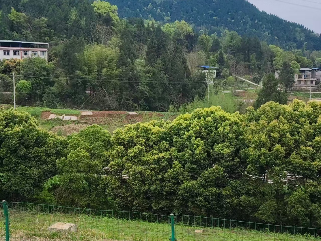 微信图片_20260325181312_889_90.jpg